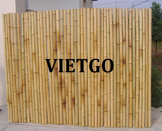 Cơ hội xuất khẩu 1 container 40ft gậy tre sang thị trường Philippines