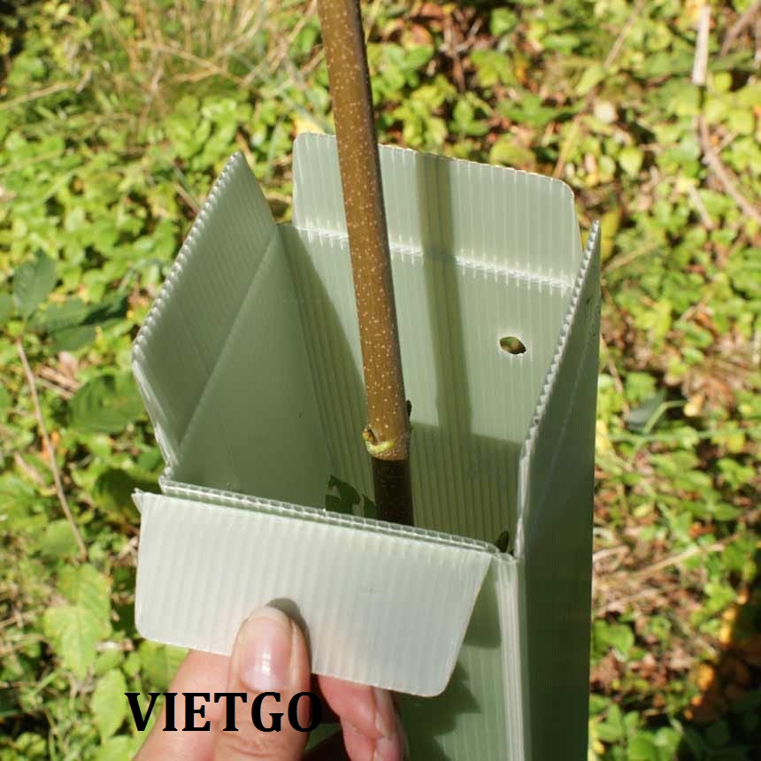 Cơ hội xuất khẩu 100.000 TẤM BÌA CARTON LÀM TỪ NHỰA SINH HỌC cho chuyến hàng đầu tiên sang Croatia và Montenegro
