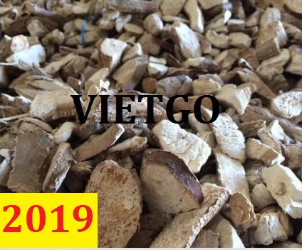 ĐƠN HÀNG CẢ NĂM: Cơ hội xuất khẩu 40.000 tấn SẮN LÁT sang thị trường Indonesia