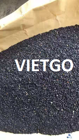 Cơ hội xuất khẩu mỗi tháng 80-100 tấn hạt vừng đen sang thị trường Trung Quốc