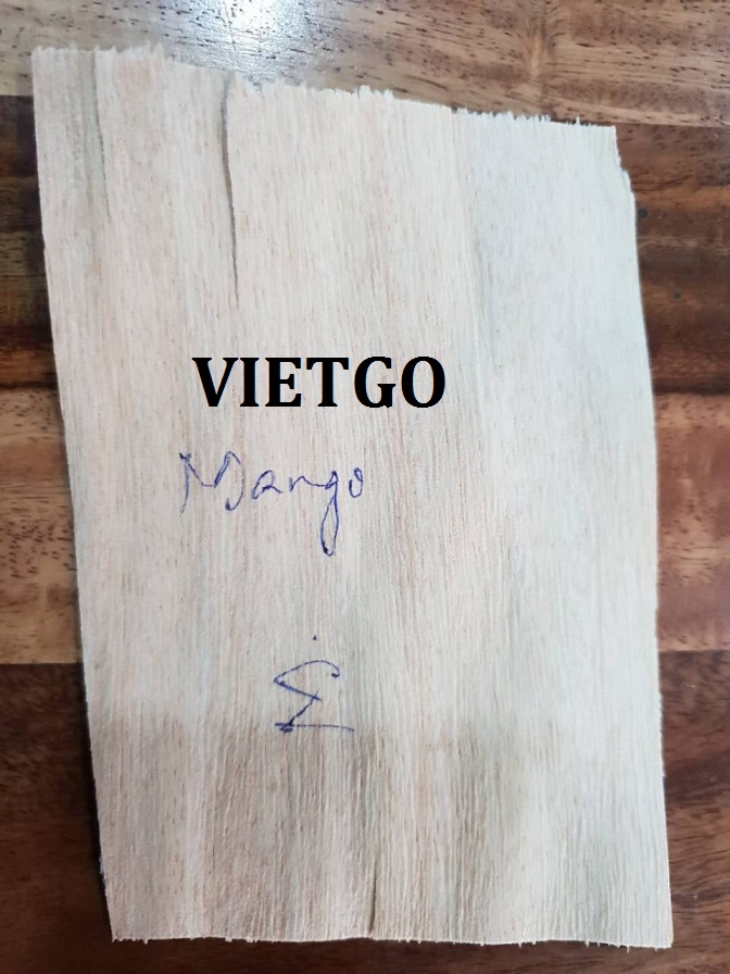 Cơ hội xuất khẩu thử 1 container 20ft VÁN BÓC sang thị trường Ấn Độ