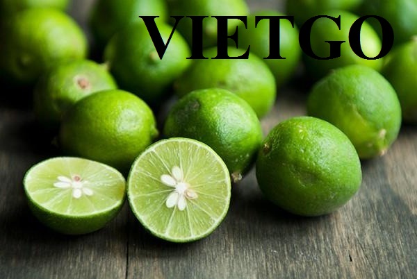 Cơ hội xuất khẩu chanh tươi sang thị trường Dubai