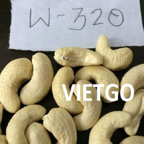 Cần tìm nhà cung cấp cho đơn hàng hạt điều W320 đến từ vị khách tiềm năng người Ấn Độ