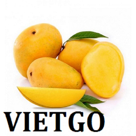 Cơ hội xuất khẩu xoài vàng sang thị trường Nga