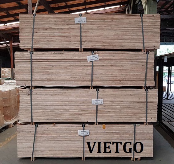 (GẤP)Cơ hội xuất khẩu GỖ DÁN sang Hàn Quốc cực kì tiềm năng