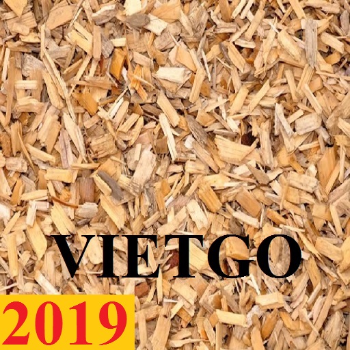 Đơn hàng cả năm: Cơ hội xuất khẩu gỗ bạch đàn vụn sang thị trường Hàn Quốc