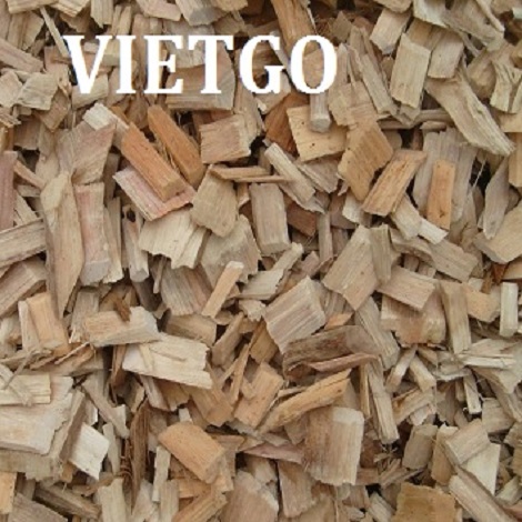 Cơ hội xuất khẩu Gỗ keo vụn đến từ nữ khách hàng thân thiết của VIETGO