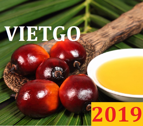 Đơn hàng cả năm: Cơ hội xuất khẩu dầu cọ sang thị trường Ấn Độ