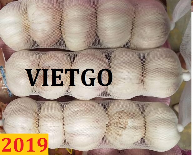 Đơn hàng cả năm: Cơ hội xuất khẩu tỏi đến một khách hàng người Jordan của VIETGO