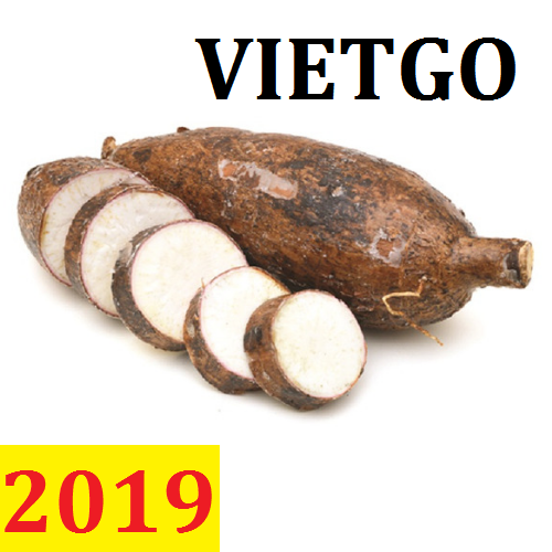 Đơn hàng cả năm: Cơ hội xuất khẩu Sắn Lát tới Trung Quốc