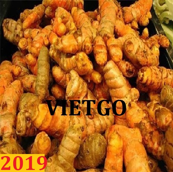 Đơn hàng cả năm: Cơ hội xuất khẩu nghệ tươi sang thị trường Nga