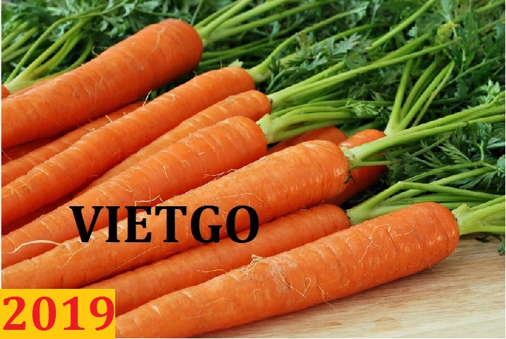 Đơn hàng cả năm: Cơ hội xuất khẩu carrot đến Dubai