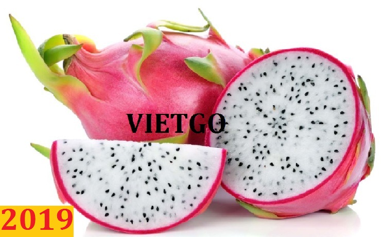 Đơn hàng cả năm: Cơ hội xuất khẩu thanh long sang thị trường Ấn Độ