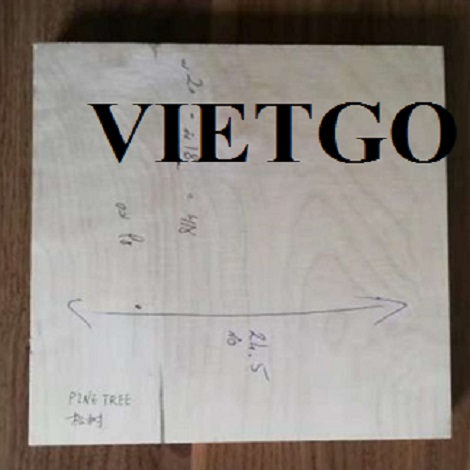 Vị khách hàng người Hongkong đang có nhu cầu nhập khẩu Gỗ keo xẻ số lượng lớn tại Việt Nam