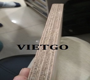 Cơ hội xuất khẩu Gỗ dán đến từ vị khách hàng thân thiện  người Mexico