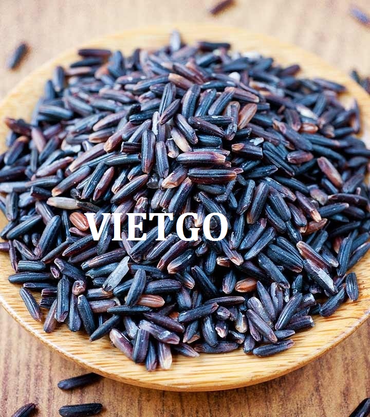 Cơ hội xuất khẩu gạo lứt đến Nga