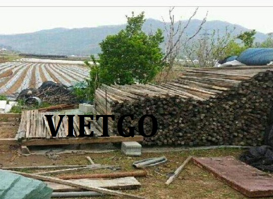 Cơ hội xuất khẩu Gỗ thông xẻ sang thị trường Hàn Quốc