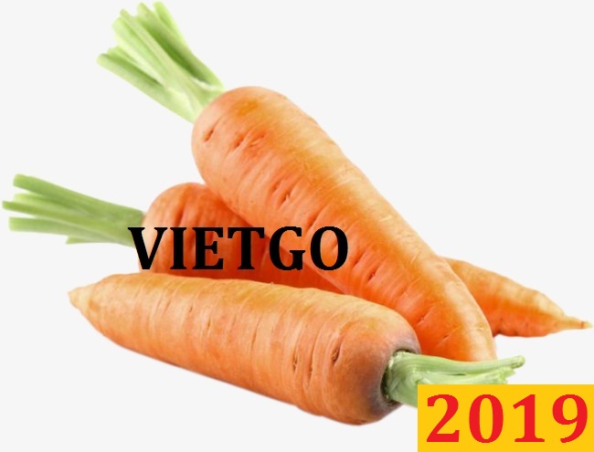 Đơn hàng cả năm: Cơ hội xuất khẩu carrot đến Malaysia