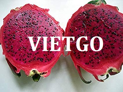 Cơ hội xuất khẩu thanh long đến từ vị khách hàng Trung Quốc