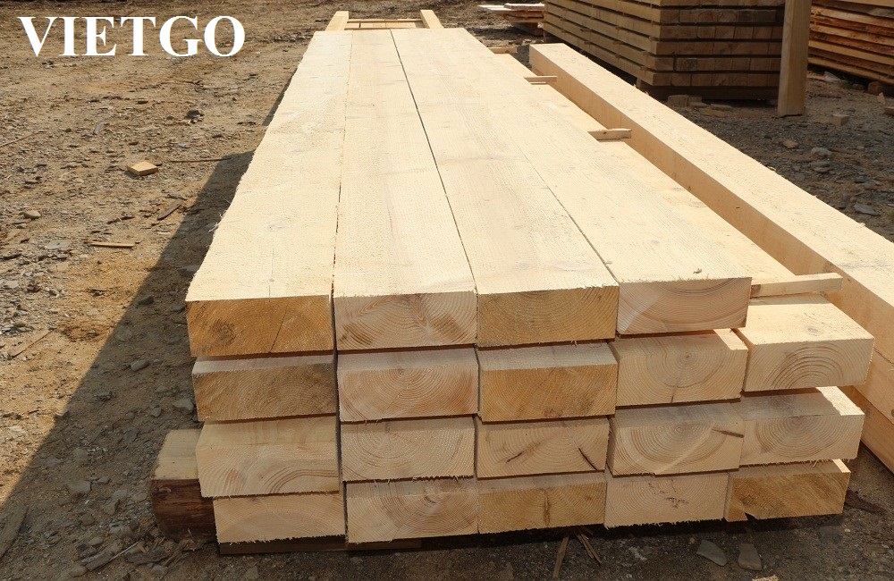 Đơn hàng đặc biệt – Cơ hội xuất khẩu Gỗ thông xẻ sang Hàn Quốc