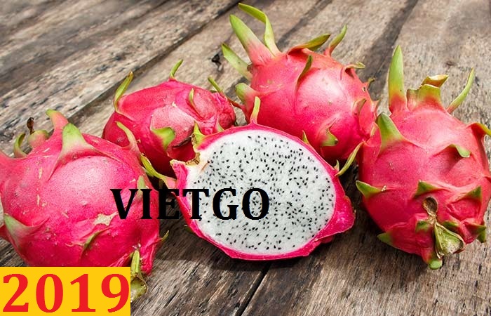 Đơn hàng cả năm- Cơ hội xuất khẩu thanh long sang thị trường Ấn Độ