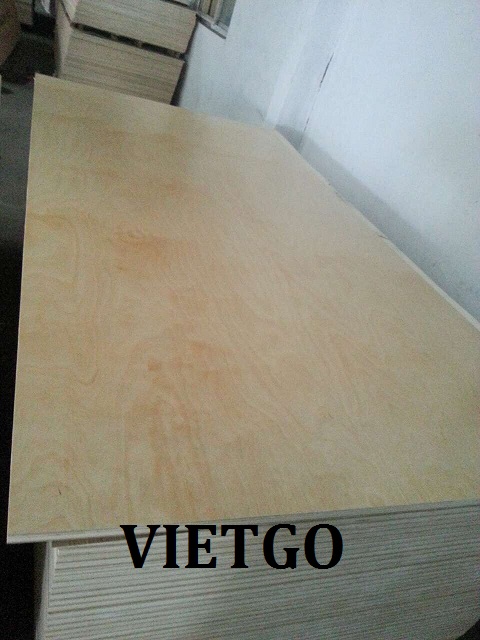 Cơ hội xuất khẩu Gỗ dán sang Hàn Quốc