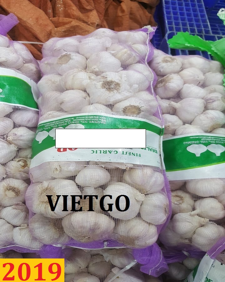 Đơn hàng cả năm: Cơ hội xuất khẩu tỏi đến từ vị khách hàng Ấn Độ