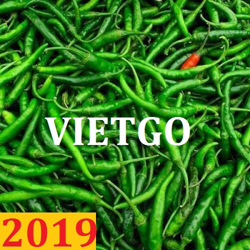 Đơn hàng cả năm: Cơ hội xuất khẩu ớt xanh sang thị trường Ấn Độ