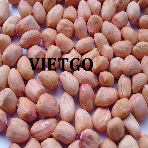 Cơ hội xuất khẩu lạc (đậu phộng) đến từ vị khách hàng Arab Saudia