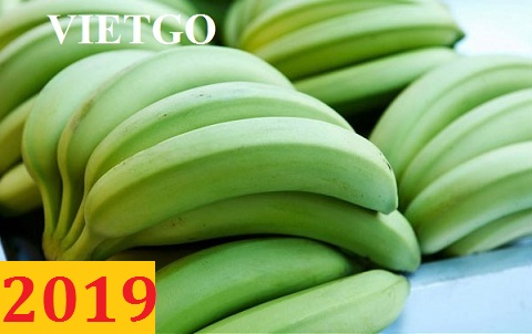 Đơn hàng cả năm- Cơ hội xuất khẩu chuối sang thị trường Hy Lạp