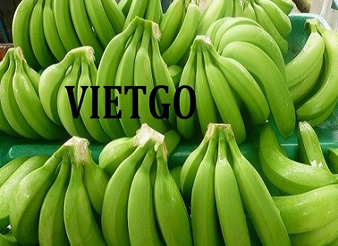 Cơ hội xuất khẩu chuối tiêu xanh sang thị trường Trung Quốc