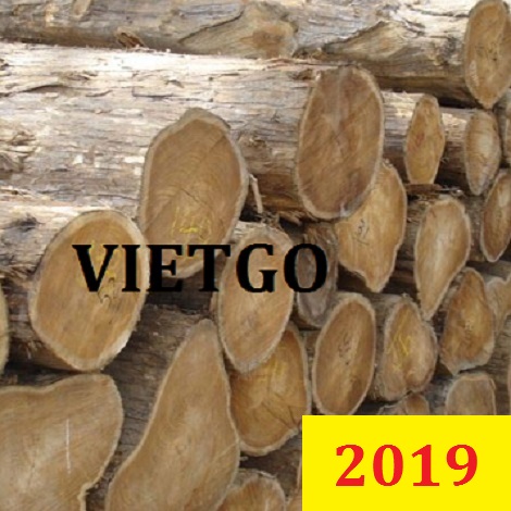 Cơ hội xuất khẩu Gỗ Teak tròn sang Bangladesh