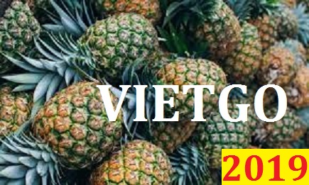 Đơn hàng cả năm- Cơ hội xuất khẩu dứa (khóm) đến Thổ Nhĩ Kỳ