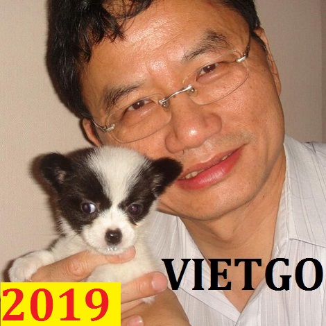 Cơ hội xuất khẩu Cát Biển đến từ vị khách hàng Hồng Kông