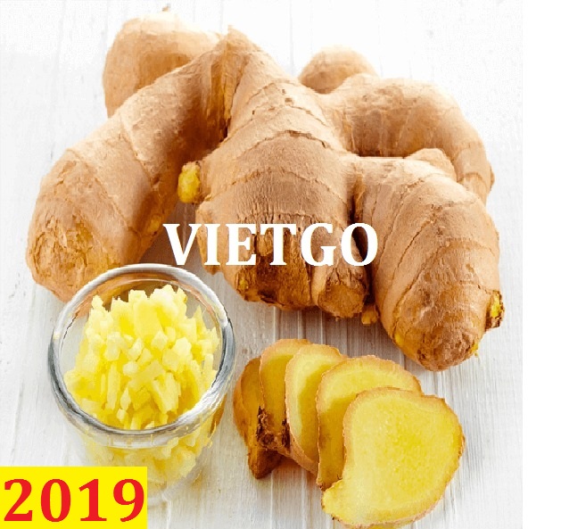 Đơn hàng cả năm- Cơ hội xuất khẩu gừng đến Hàn Quốc