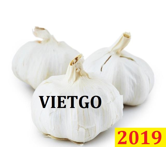 Đơn hàng cả năm- Cơ hội xuất khẩu tỏi đến từ vị khách hàng Ấn