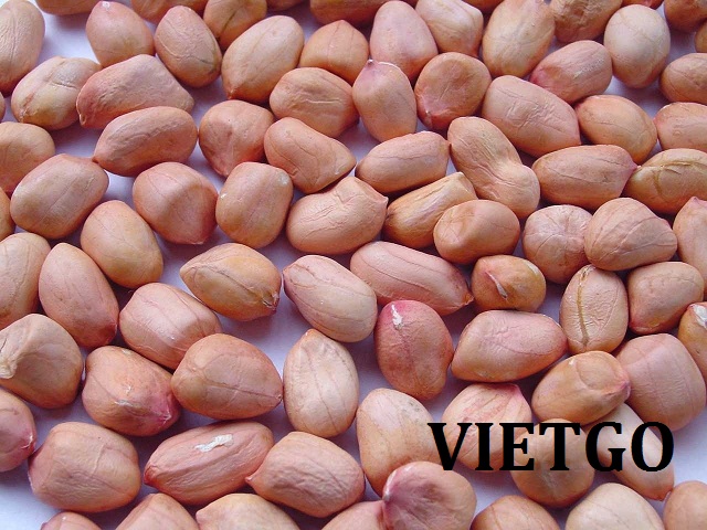 Cơ hội xuất khẩu lạc (đậu phộng) đến từ vị khách hàng Thổ Nhĩ Kỳ