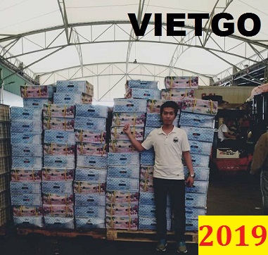 Đơn hàng cả năm- Cơ hội xuất khẩu chuối đến Trung Quốc