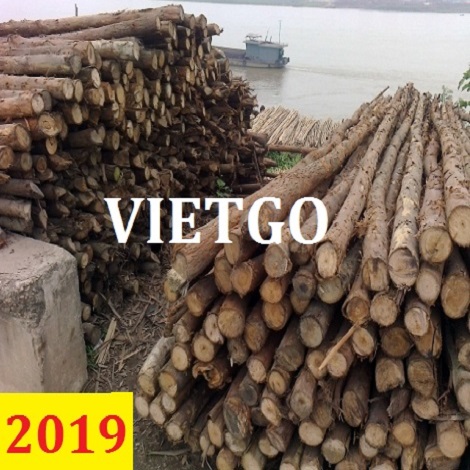 Cơ hội xuất khẩu Gỗ keo tròn sang thị trường Trung Quốc