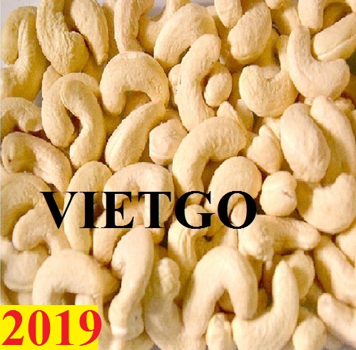 Đơn hàng cả năm- Cơ hội xuất khẩu hạt điều đến từ vị khách hàng Ấn