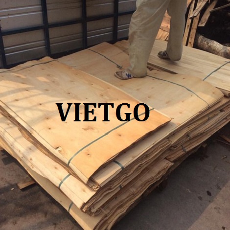 Cơ hội xuất khẩu ván bóc keo sang Ấn Độ