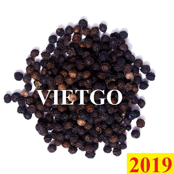Cơ hội xuất khẩu hạt tiêu đến Ấn Độ