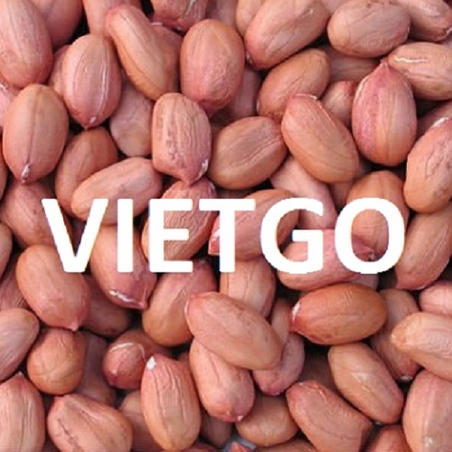 Cơ hội xuất khẩu Lạc đến Thổ Nhĩ Kỳ