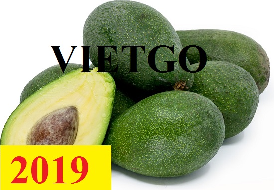 Cơ hội giao thương  – Đơn hàng Cả Năm - Cơ hội xuất khẩu Quả Bơ sang thị trường Thổ Nhĩ Kỳ