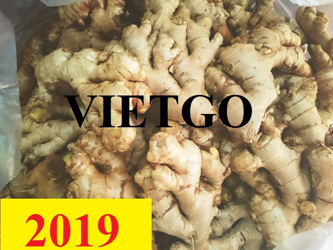 Cơ hội giao thương  – Đơn hàng Cả Năm - Cơ hội xuất khẩu Gừng Tươi sang thị trường Bangladesh