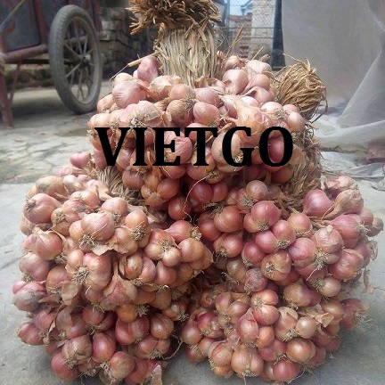 Cơ hội xuất khẩu Hành củ đến Bangladesh