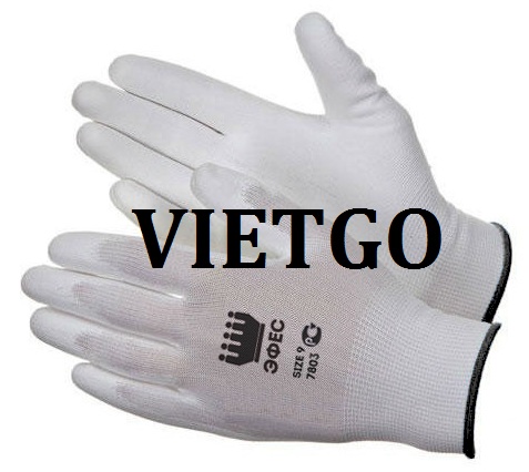 Cơ hội xuất khẩu găng tay đến Hàn Quốc