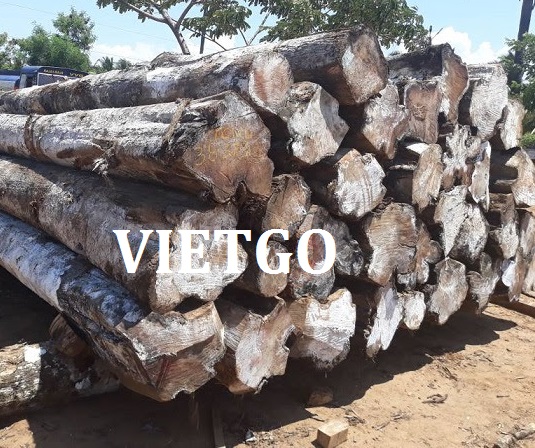 Cơ hội xuất khẩu Gỗ Teak tròn sang Ấn Độ