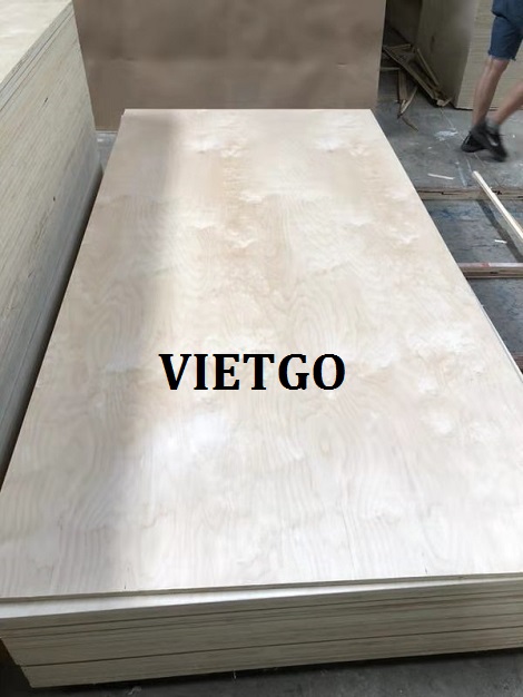 Cơ hội xuất khẩu Gỗ dán sang Ấn Độ