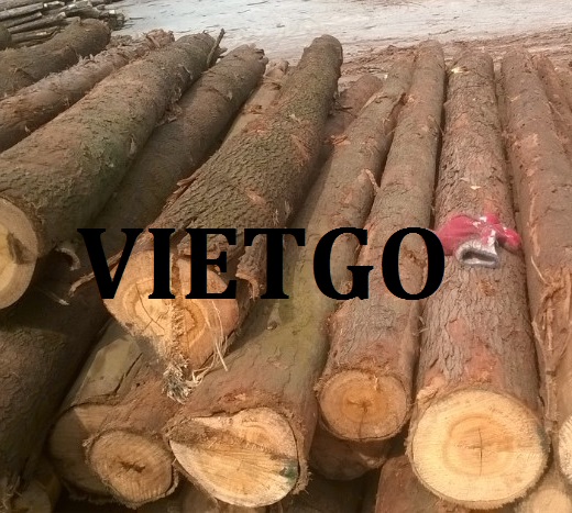 Cơ hội xuất khẩu Gỗ Thông và bạch đàn tròn sang Trung Quốc